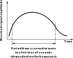 Signal return from a typical overdense meteor trail