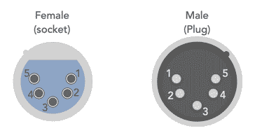 Standard connection pinout for a 5 pin XLR connector showing male XLR plug and female XLR socket