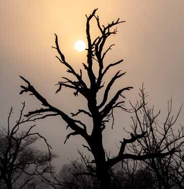 The Sun from Earth at Sunset